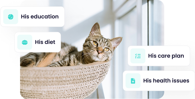 Screenshot of the Maskots app showing the 'Tips' section. There is a photo of a tabby cat and tags with topics like 'Its training', 'Its diet', and 'Its care plan'.