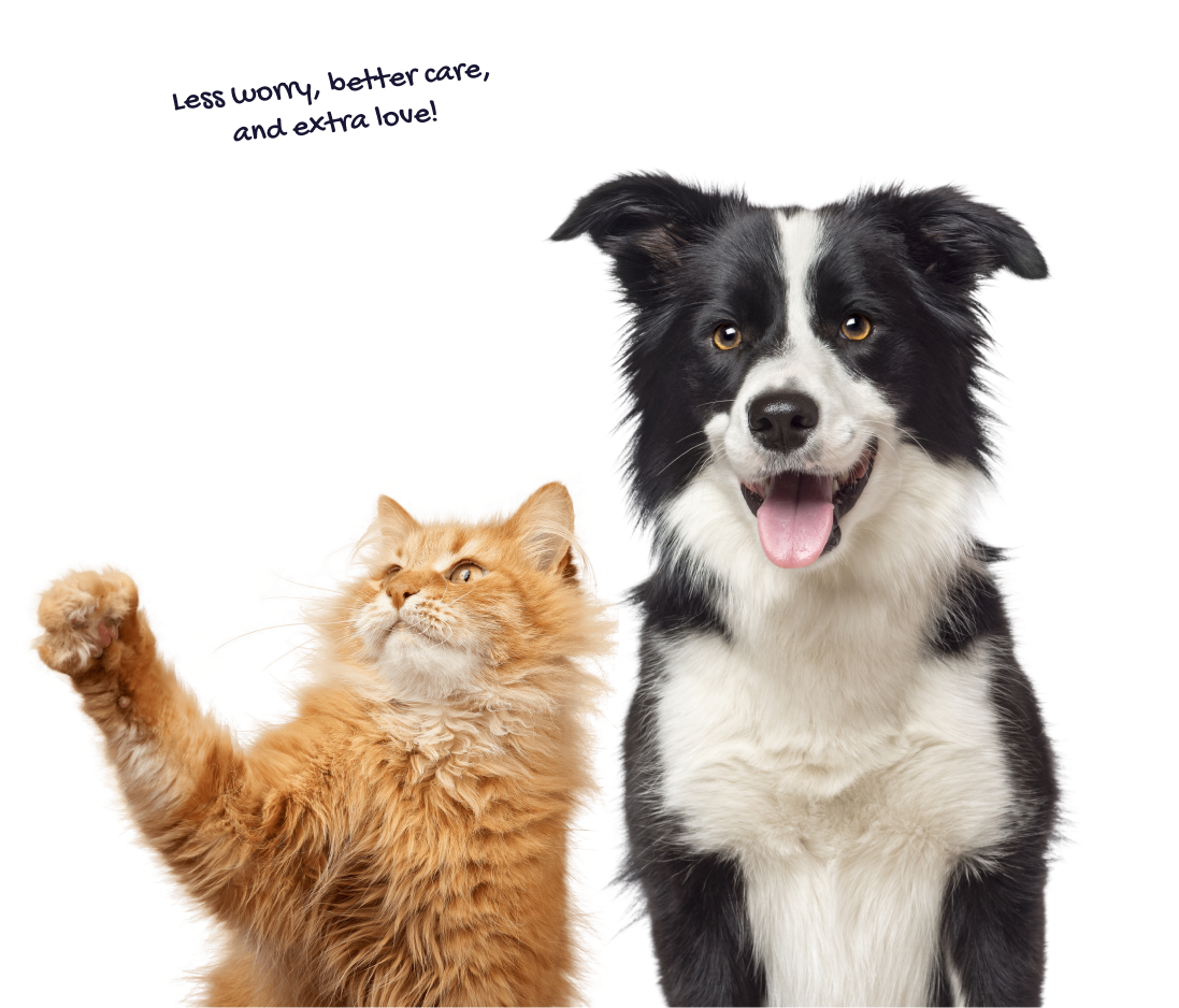 A smiling Border Collie dog and a tabby cat looking up, with a speech bubble above them that says 'Less worries, better care, and so much more love!