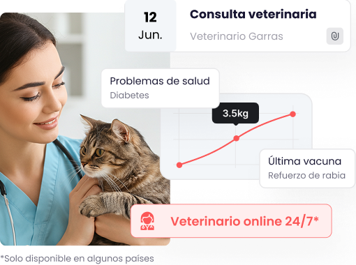 Captura de pantalla de la sección 'Salud' de la app Maskots. Se ve una veterinaria con un gato, y gráficos que muestran el seguimiento de peso de la mascota y citas veterinarias.