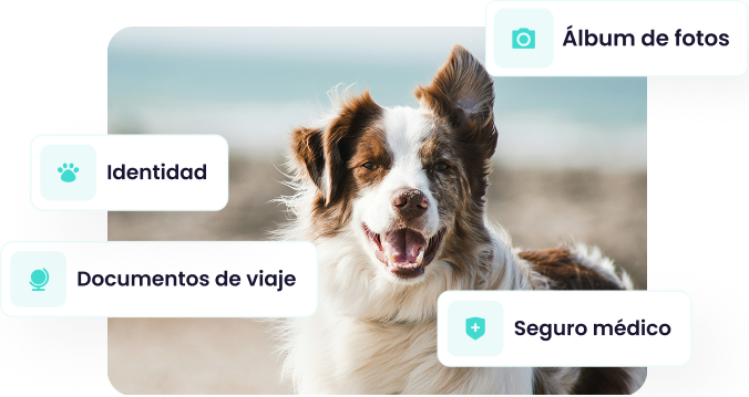 Captura de pantalla de la sección 'Perfil' de la app Maskots, mostrando a un perro Border Collie con etiquetas superpuestas indicando 'Álbum de fotos', 'Identidad', 'Documentos de viaje' y 'Seguro médico'.