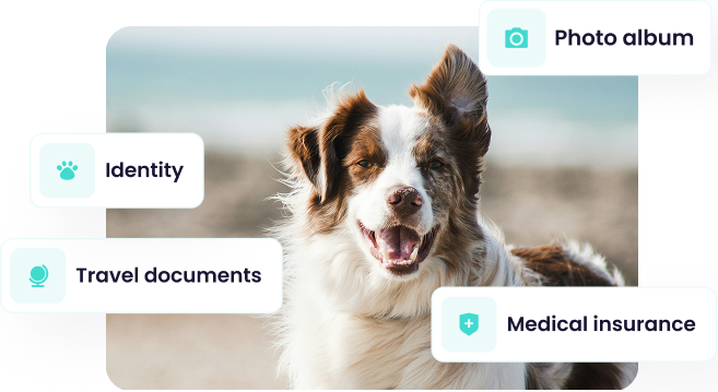 Screenshot of the 'Profile' section of the Maskots app, showing a Border Collie with overlaid labels indicating 'Photo album', 'Identity', 'Travel documents', and 'Health insurance'.