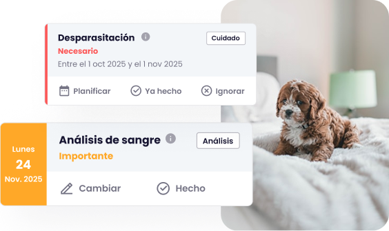 Screenshot of the Maskots app showing the 'Care plan' feature with a to-do list. There is a photo of a dog and a task labeled 'Deworming'.