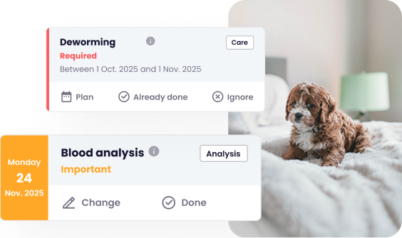 Screenshot of the Maskots app showing the 'Care plan' feature with a to-do list. There is a photo of a dog and a task labeled 'Deworming'.