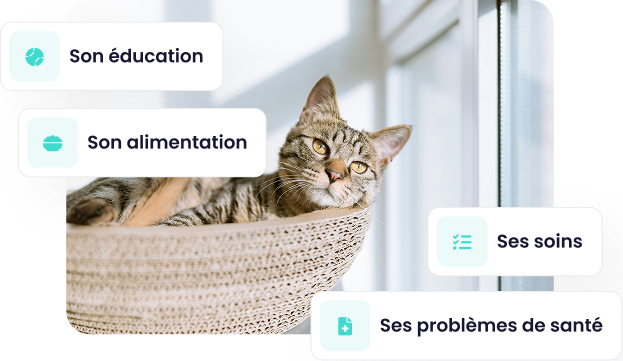 Screenshot of the Maskots app showing the 'Tips' section. There is a photo of a tabby cat and tags with topics like 'Its training', 'Its diet', and 'Its care plan'.