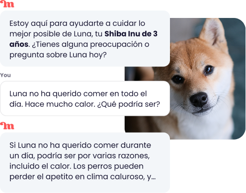 Captura de pantalla de la app Maskots mostrando una conversación de chat con un asistente de IA para mascotas. El usuario pregunta por qué su perro, Luna, no quiere comer y la IA responde con posibles razones.