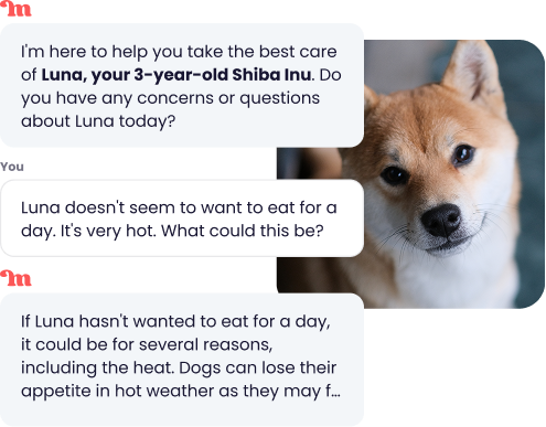 Screenshot of the Maskots app showing a chat conversation with an AI pet assistant. The user asks why their dog, Luna, doesn't want to eat and the AI responds with possible reasons.