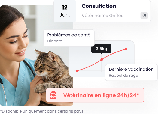 Screenshot of the 'Health' section of the Maskots app. It shows a veterinarian with a cat, and charts displaying the pet's weight tracking, vet appointments ('Veterinary consultation'), 'Health problems', and the option for '24/7 online veterinarian'.