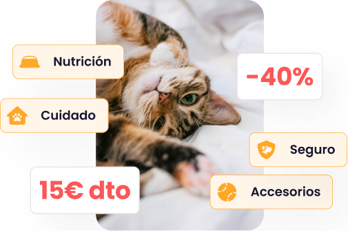 Capture d'écran de la section « Offres » de l'application Maskots, avec une réduction « jusqu'à -40 % » et des étiquettes de catégorie telles que « Nutrition », « Marque de premier plan », « Assurance », « Toilettage » et « Accessoires », montrant des offres exclusives.