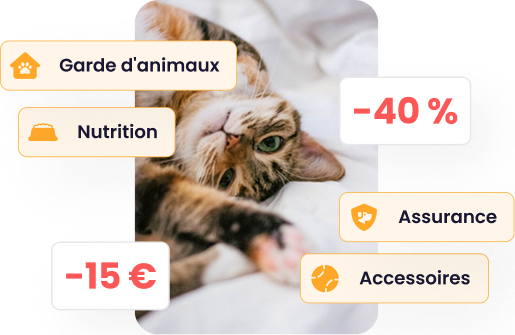 Capture d'écran de la section « Offres » de l'application Maskots, avec une réduction « jusqu'à -40 % » et des étiquettes de catégorie telles que « Nutrition », « Marque de premier plan », « Assurance », « Toilettage » et « Accessoires », montrant des offres exclusives.